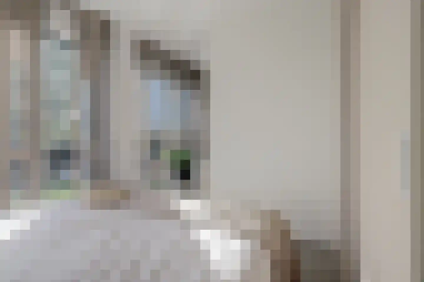 Rivium 1e straat 61 F Capelle aan den IJssel thumbnail 12