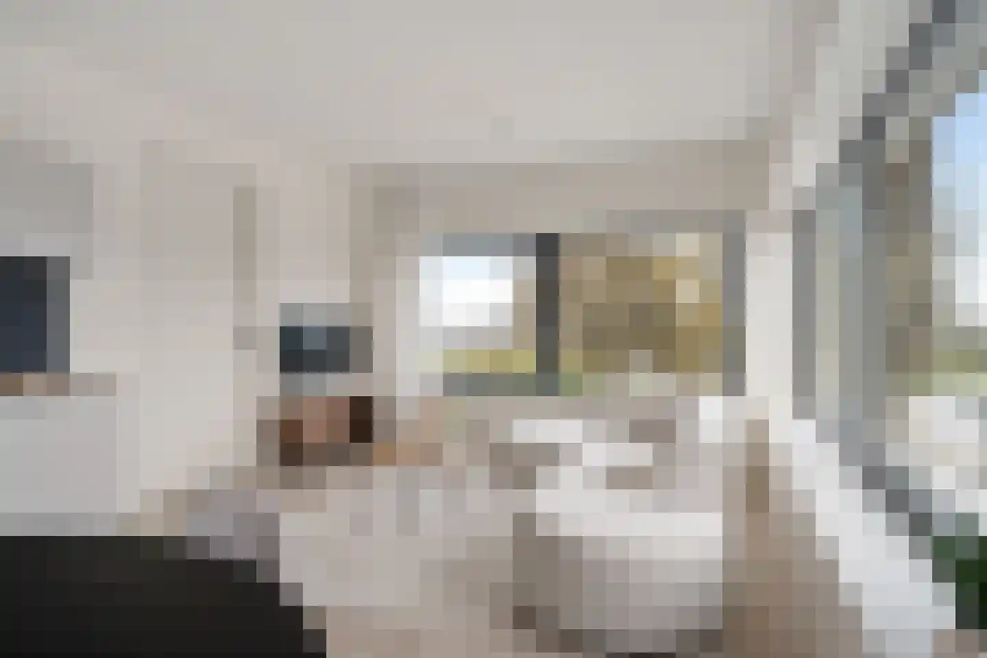 Rivium 1e straat 61 P Capelle aan den IJssel thumbnail 16