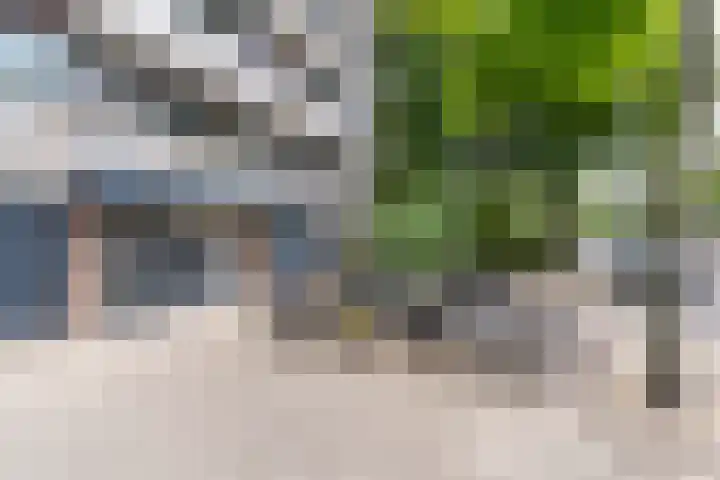 Rixtwei 126 Leeuwarden thumbnail 43