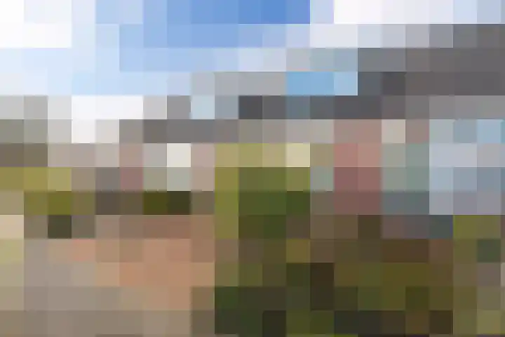 Rixtwei 126 Leeuwarden thumbnail 5