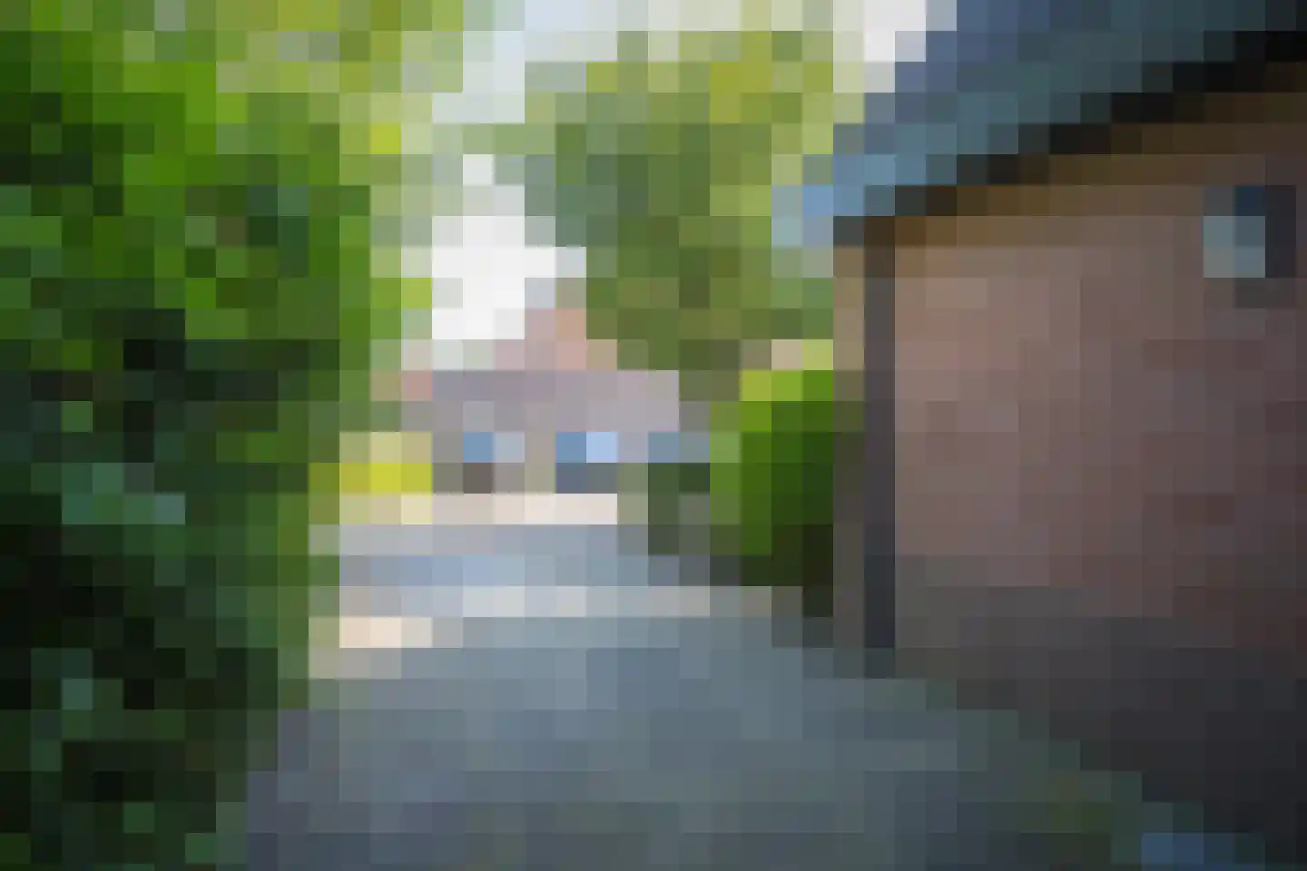Rixtwei 325 Leeuwarden thumbnail 11