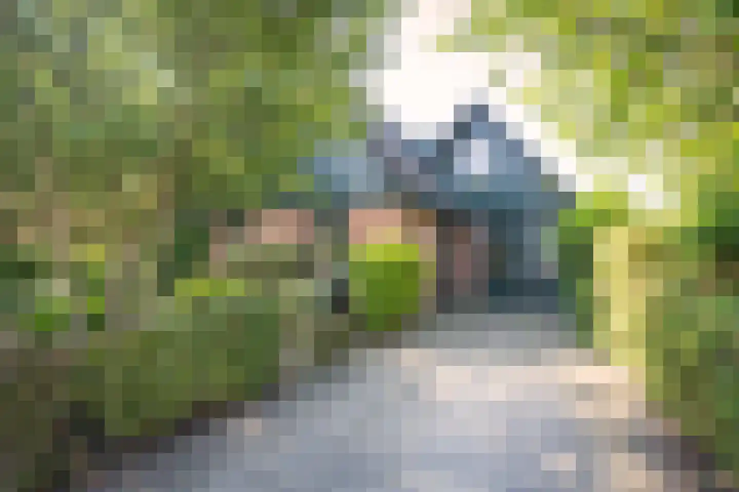 Rixtwei 325 Leeuwarden thumbnail 12