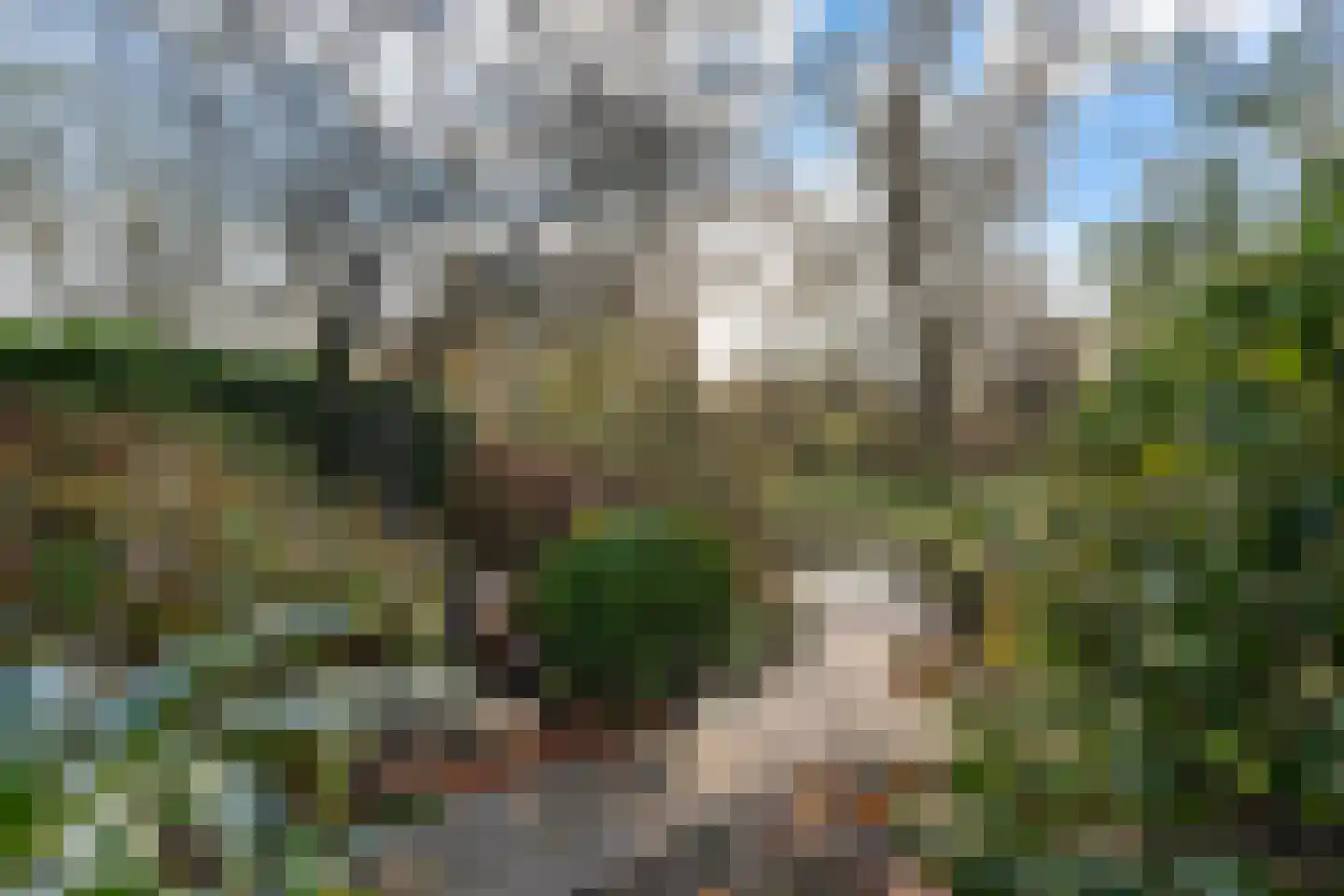 Rixtwei 325 Leeuwarden thumbnail 32