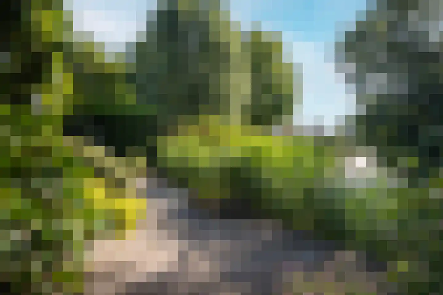 Rixtwei 325 Leeuwarden thumbnail 35