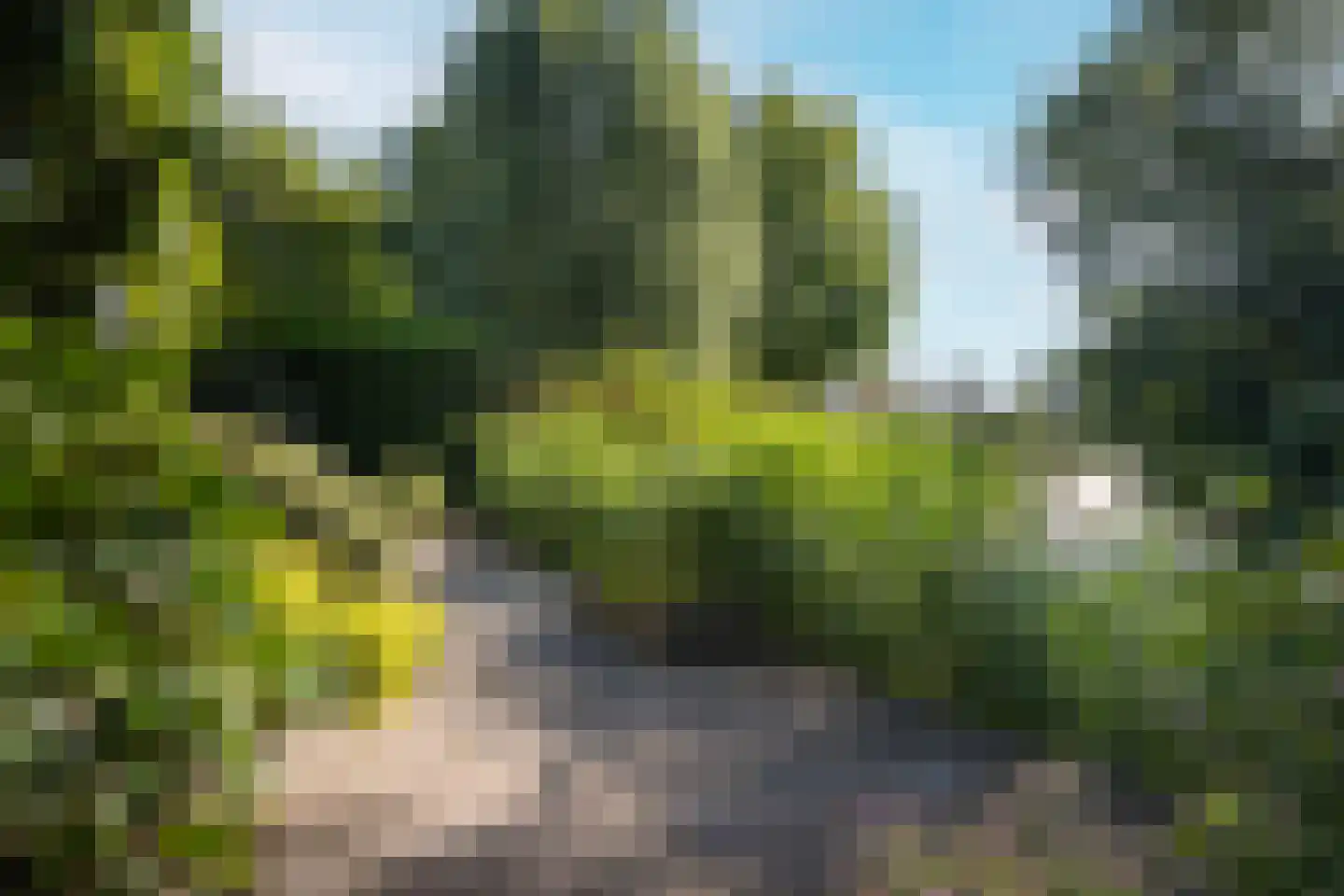 Rixtwei 325 Leeuwarden thumbnail 36