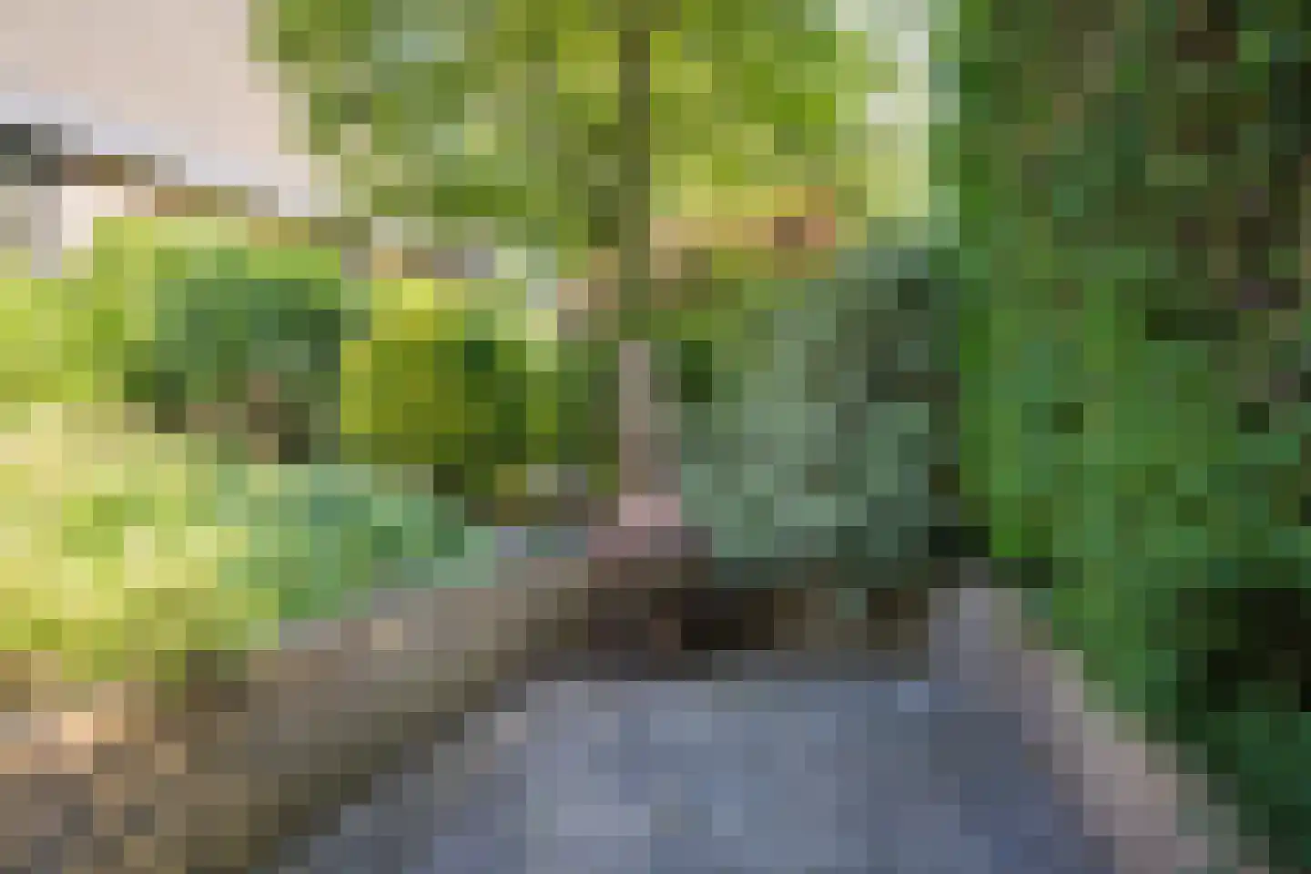 Rixtwei 325 Leeuwarden thumbnail 37