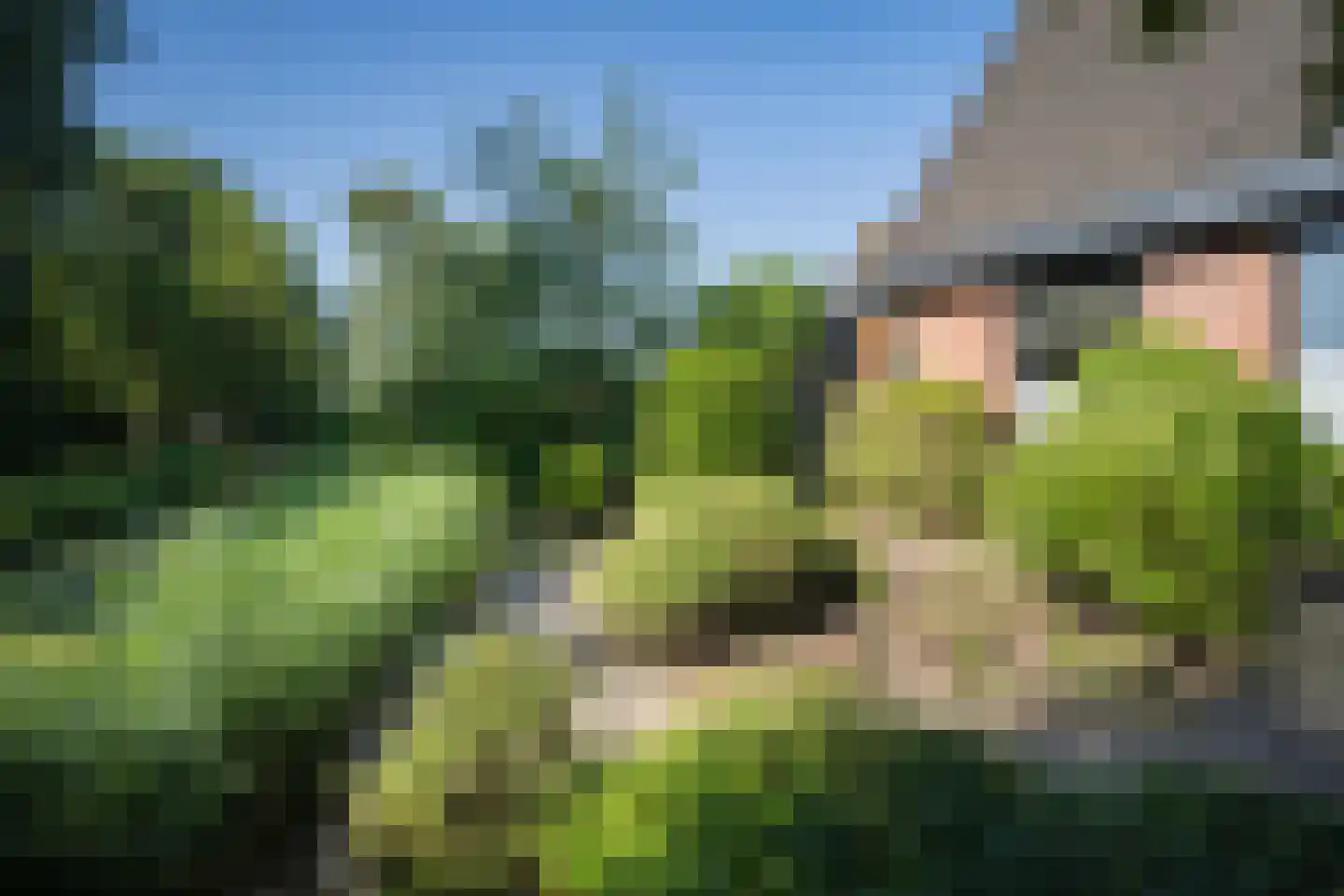 Rixtwei 325 Leeuwarden thumbnail 39