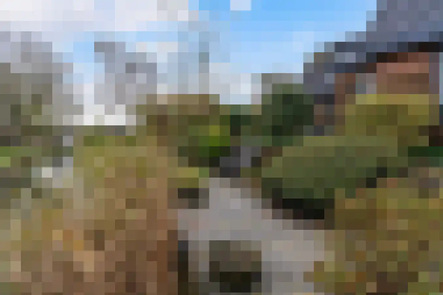Rixtwei 325 Leeuwarden thumbnail 39