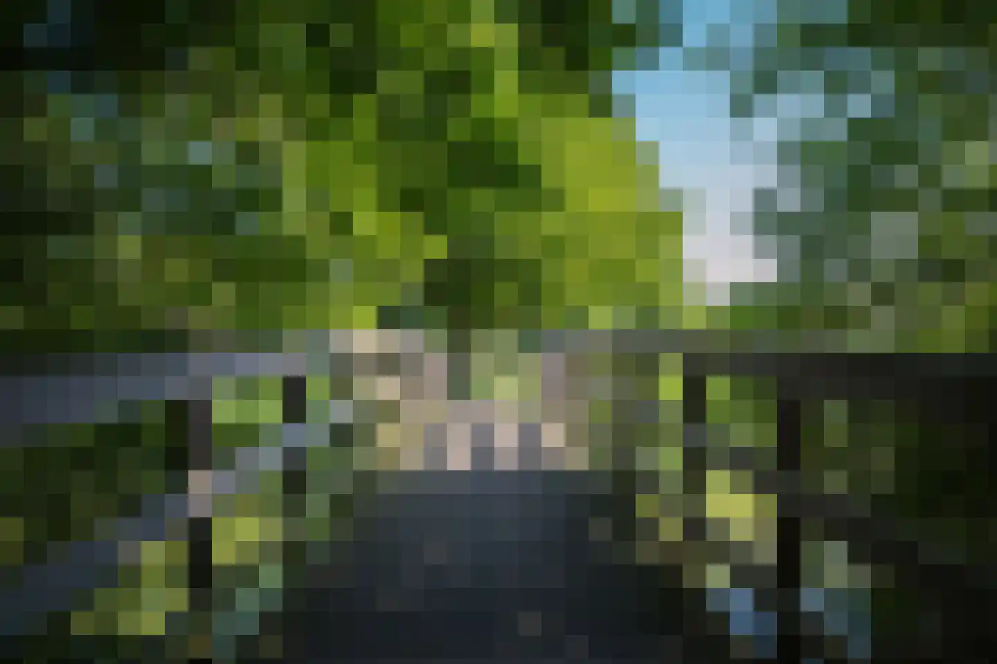 Rixtwei 325 Leeuwarden thumbnail 63