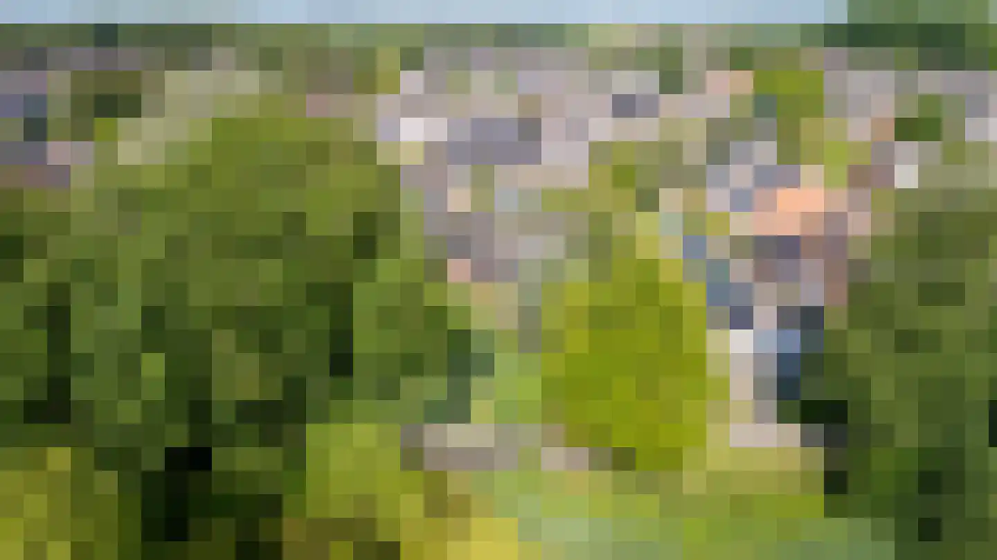 Rixtwei 325 Leeuwarden thumbnail 64
