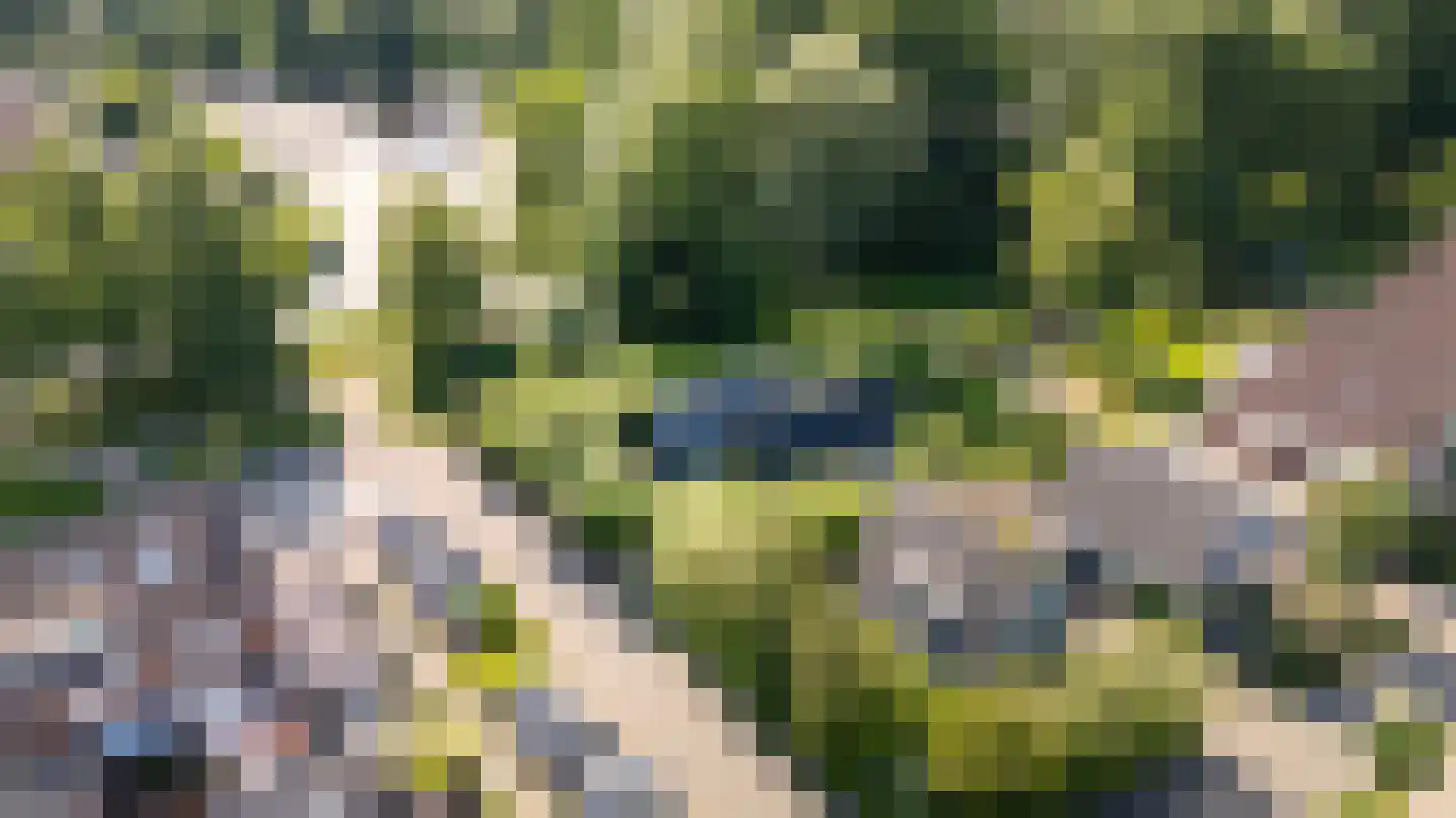 Rixtwei 325 Leeuwarden thumbnail 65
