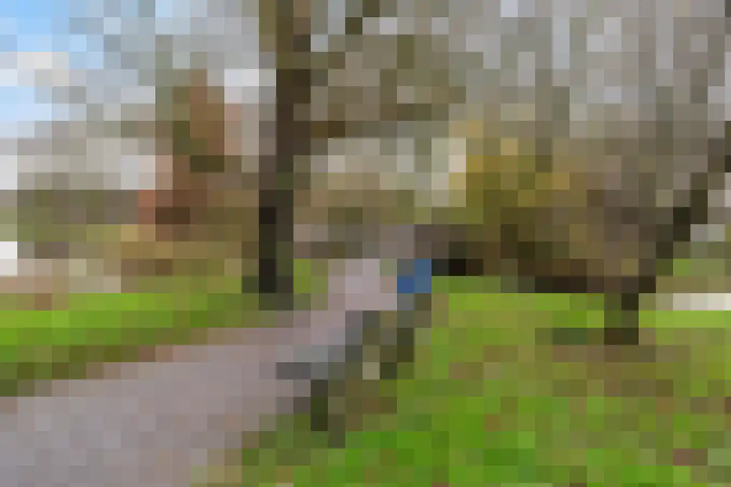 Rixtwei 325 Leeuwarden thumbnail 66