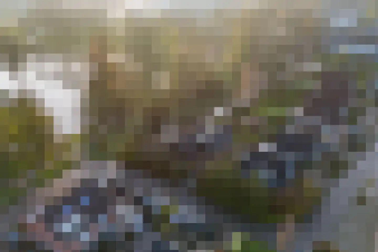 Rixtwei 325 Leeuwarden thumbnail 71