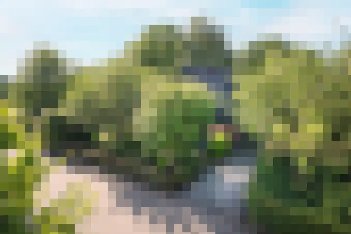 Rixtwei 325 Leeuwarden thumbnail 8