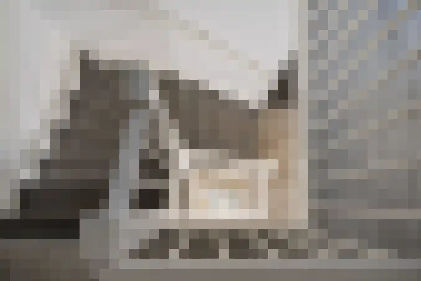 Rixtwei 34 Leeuwarden thumbnail 31
