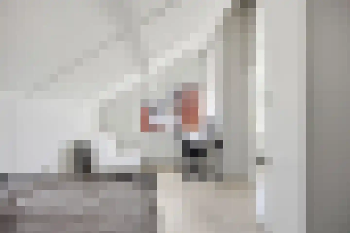 Rixtwei 34 Leeuwarden thumbnail 32