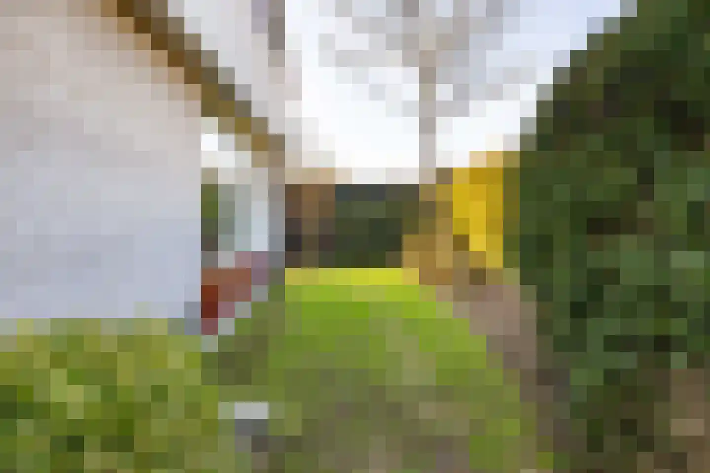 Rixtwei 357 Leeuwarden thumbnail 12