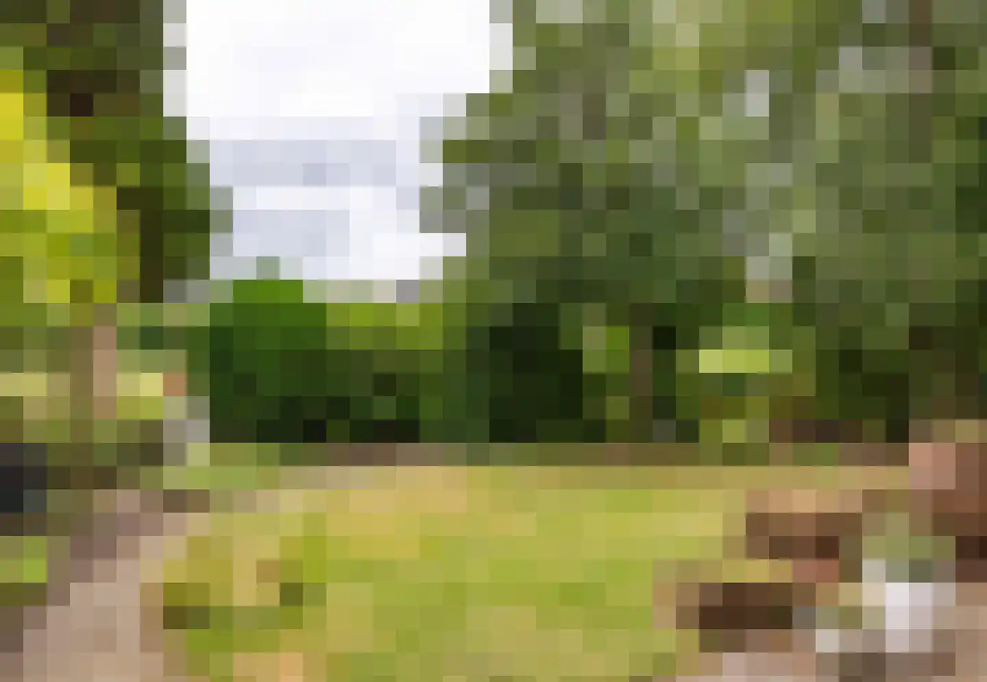 Rixtwei 357 Leeuwarden thumbnail 46