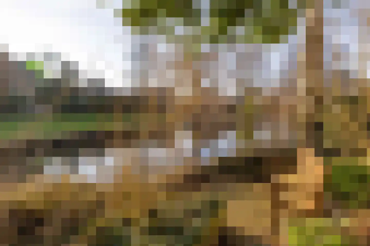 Rixtwei 357 Leeuwarden thumbnail 48