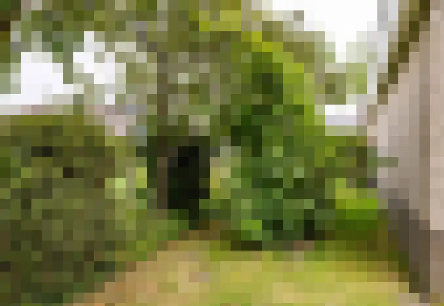 Rixtwei 357 Leeuwarden thumbnail 50
