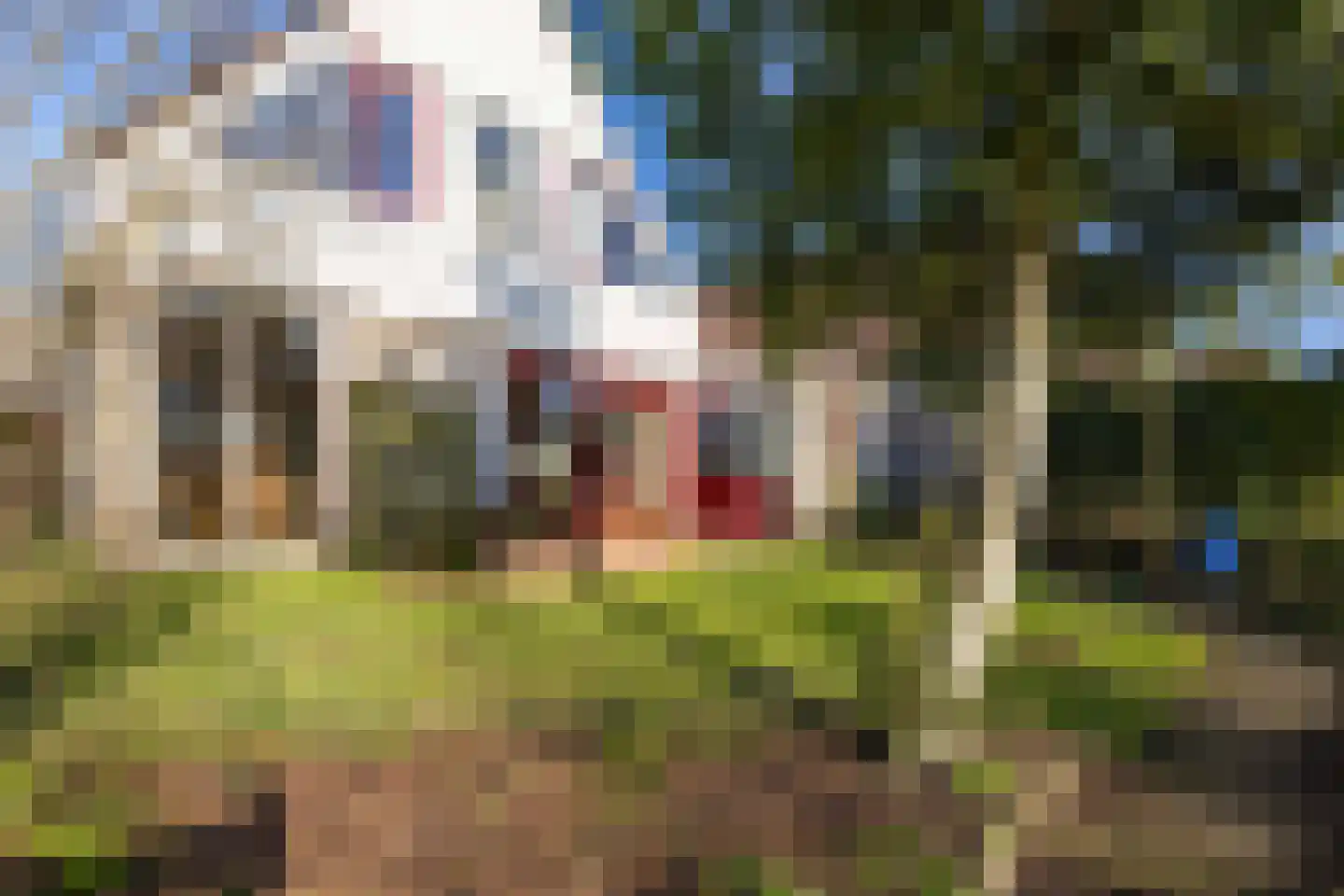 Rixtwei 357 Leeuwarden thumbnail 51
