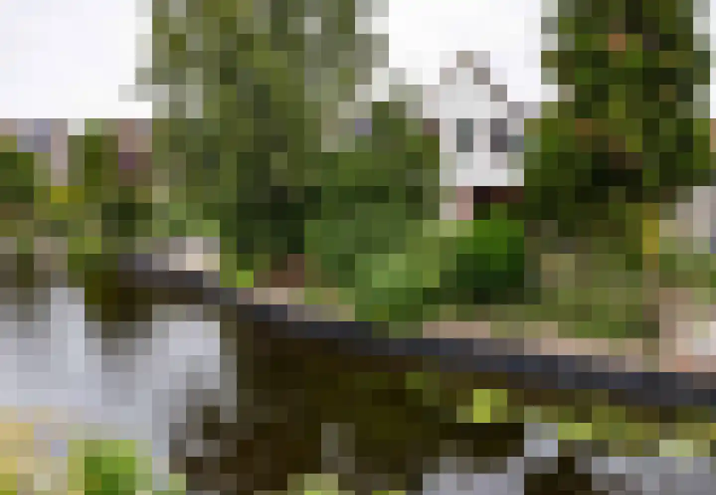 Rixtwei 357 Leeuwarden thumbnail 6