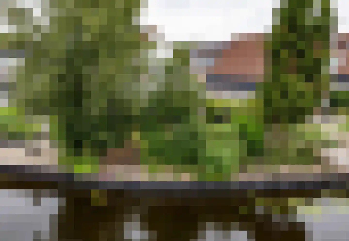 Rixtwei 357 Leeuwarden thumbnail 7