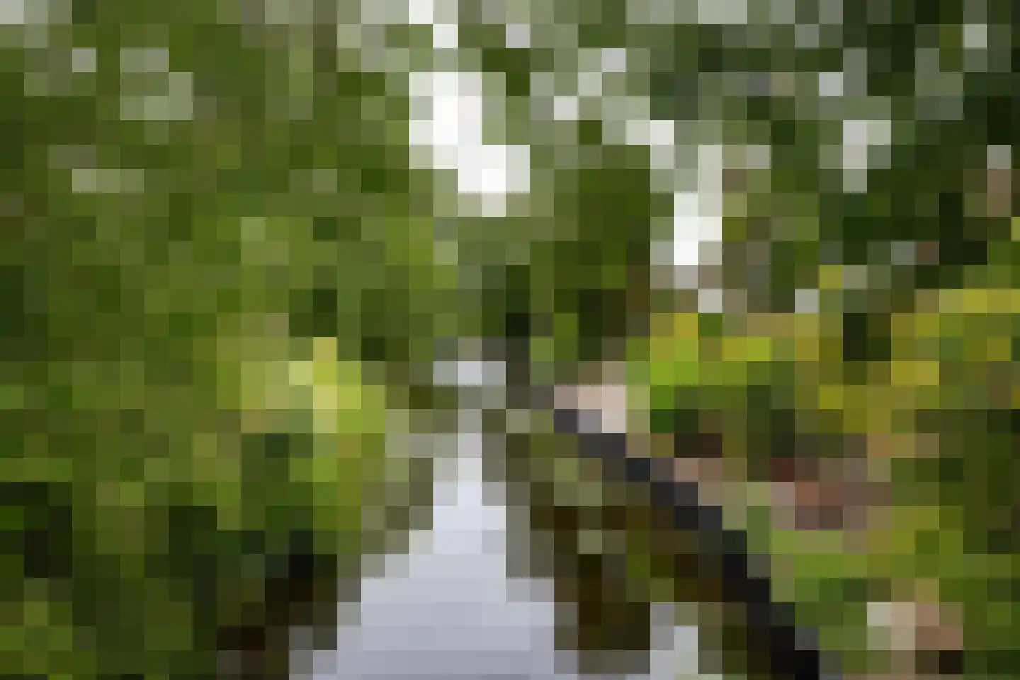 Rixtwei 357 Leeuwarden thumbnail 8
