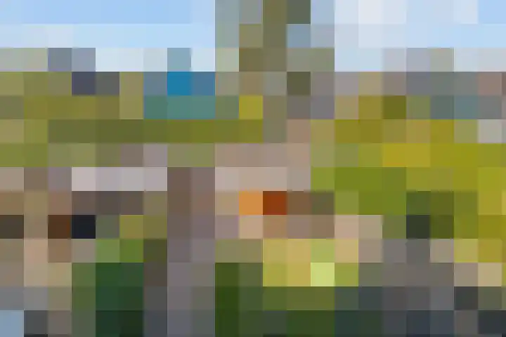 Rixtwei 395 Leeuwarden thumbnail 17