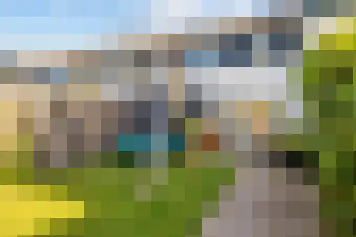 Rixtwei 395 Leeuwarden thumbnail 18