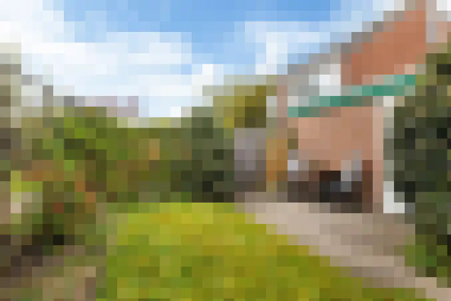 Rixtwei 415 Leeuwarden thumbnail 10