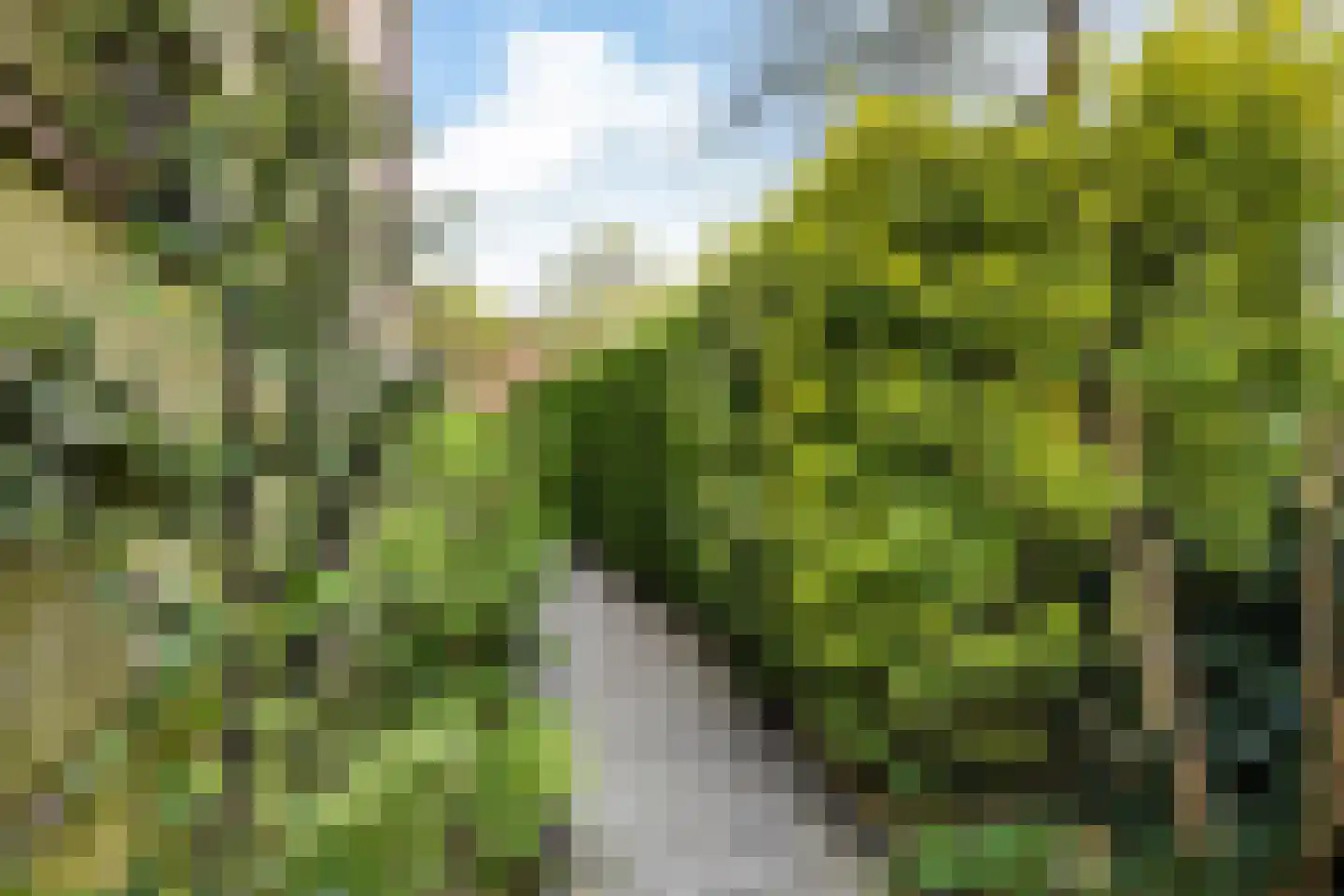 Rixtwei 415 Leeuwarden thumbnail 14