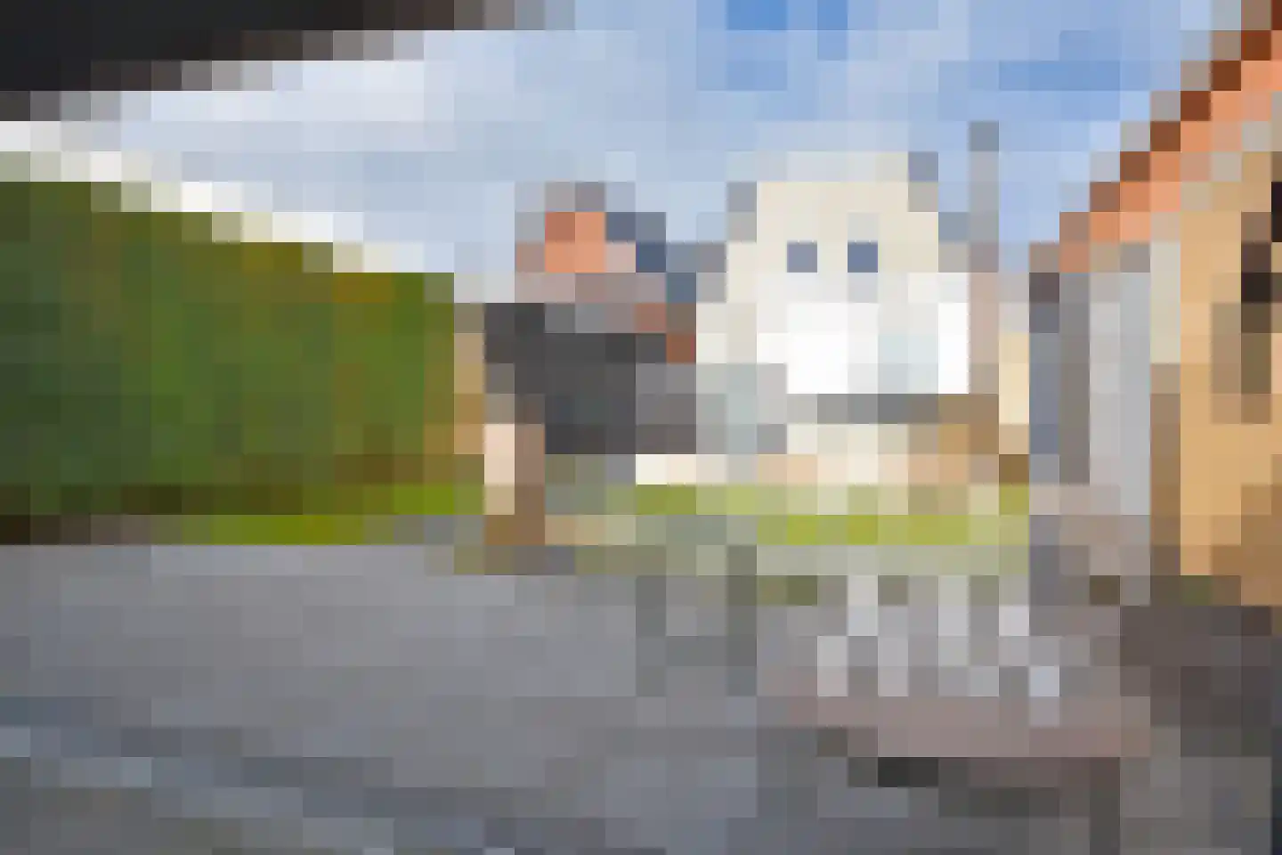 Rjochthússtrjitte 29 Rinsumageast thumbnail 10