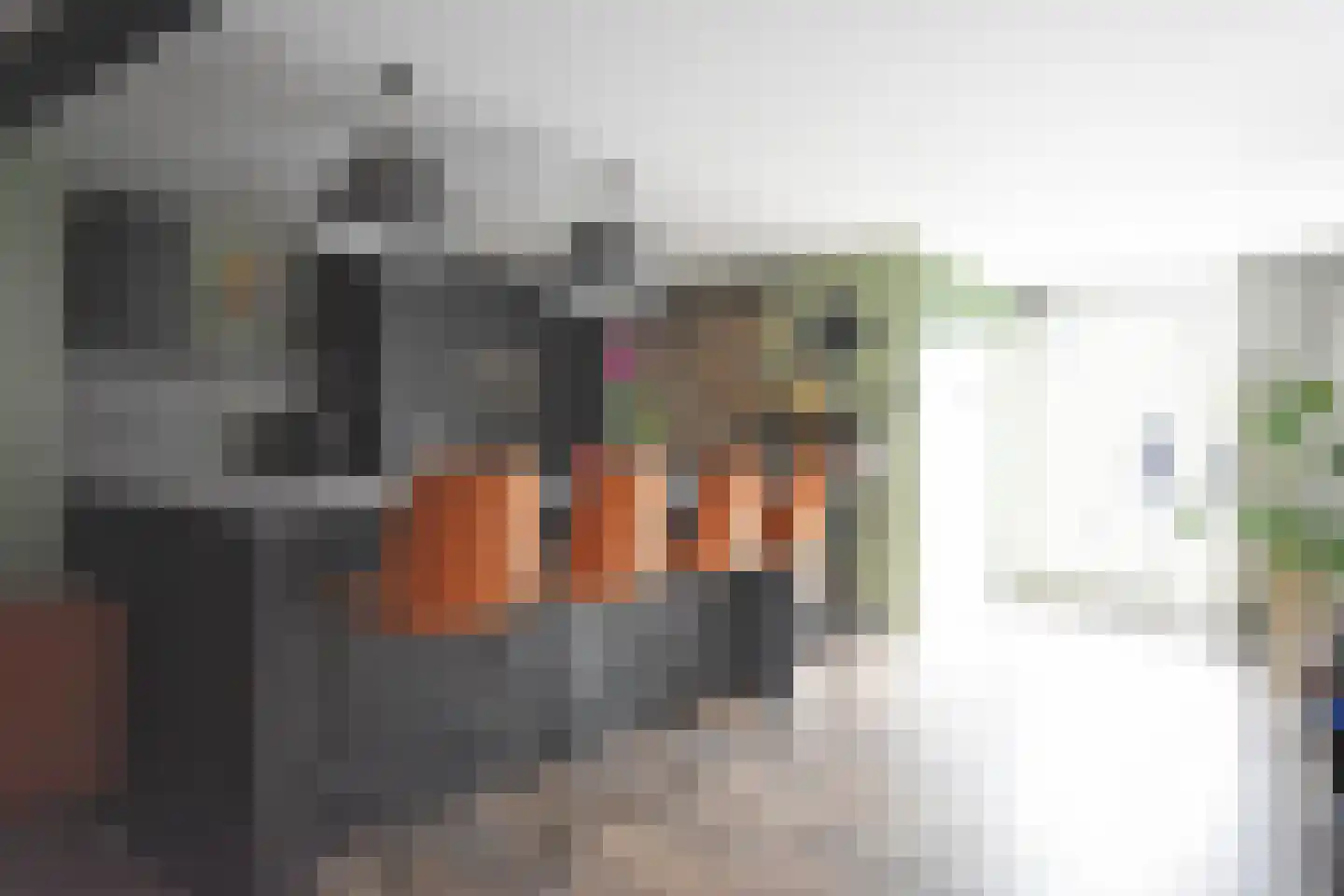 Rjochthússtrjitte 29 Rinsumageast thumbnail 23