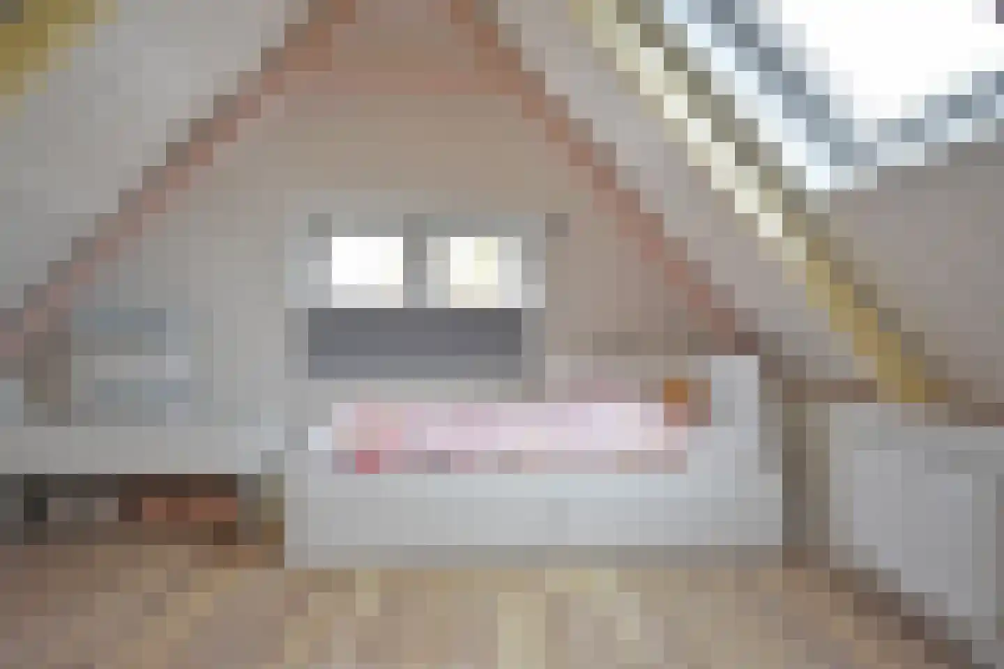Rjochthússtrjitte 29 Rinsumageast thumbnail 44