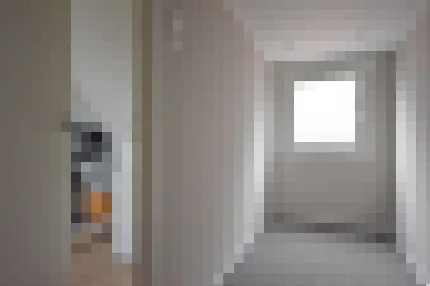 Rjochthússtrjitte 29 Rinsumageast thumbnail 47