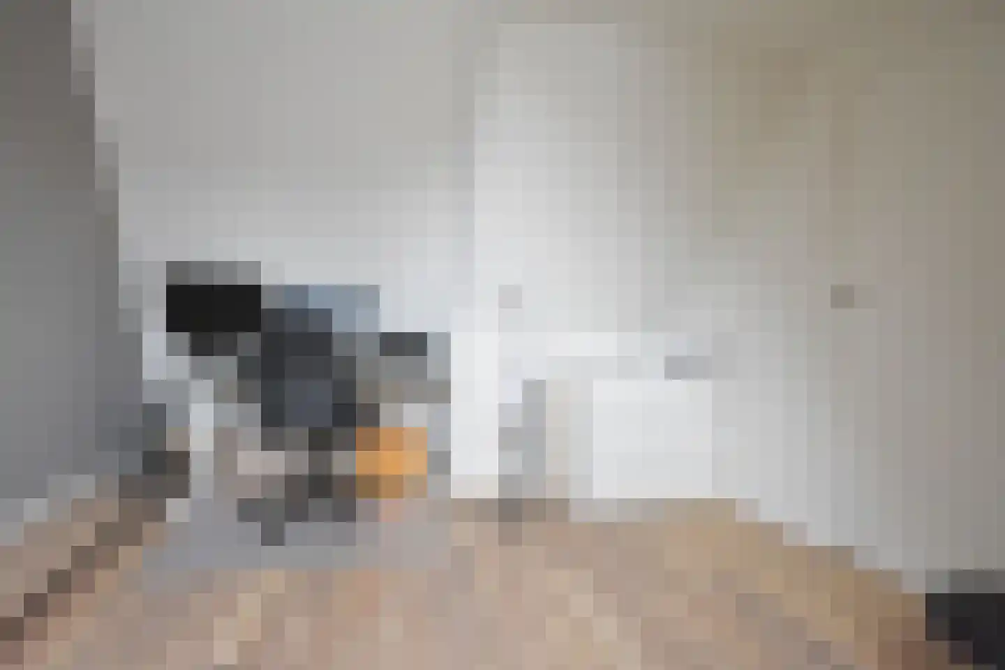 Rjochthússtrjitte 29 Rinsumageast thumbnail 49