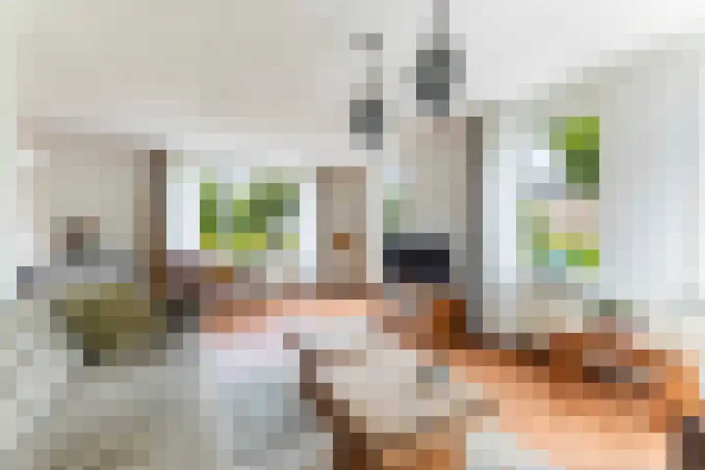 Rjochthússtrjitte 37 Rinsumageast thumbnail 16