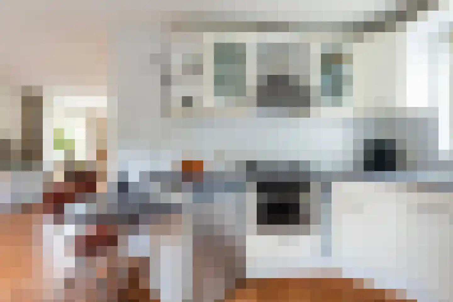 Rjochthússtrjitte 37 Rinsumageast thumbnail 20