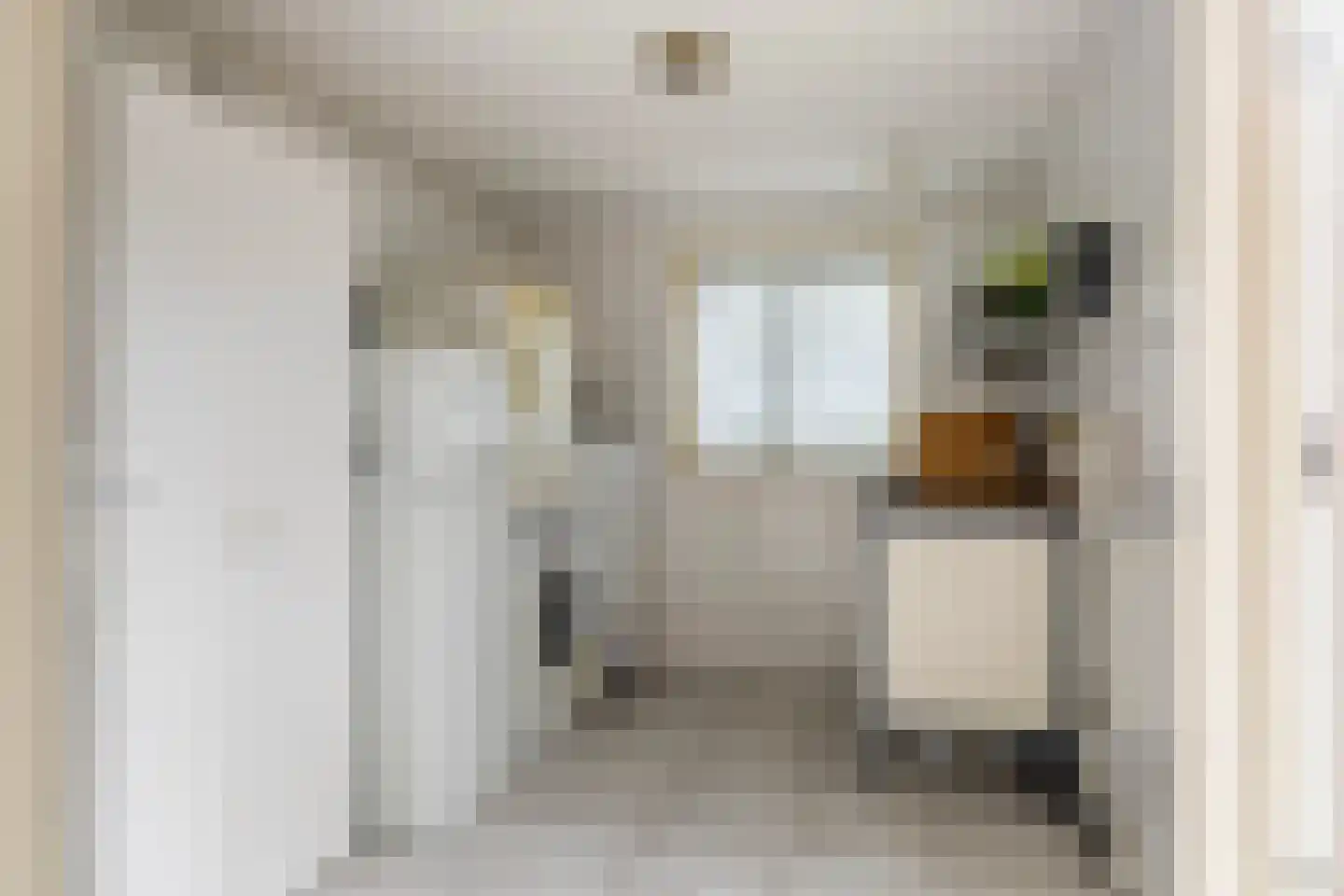 Rjochthússtrjitte 37 Rinsumageast thumbnail 21