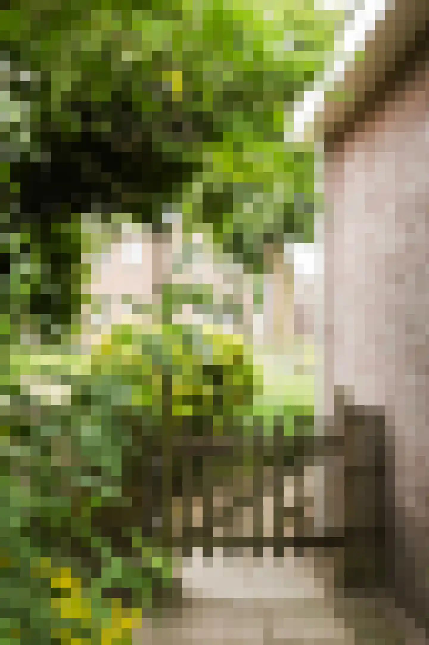 Rjochthússtrjitte 37 Rinsumageast thumbnail 32
