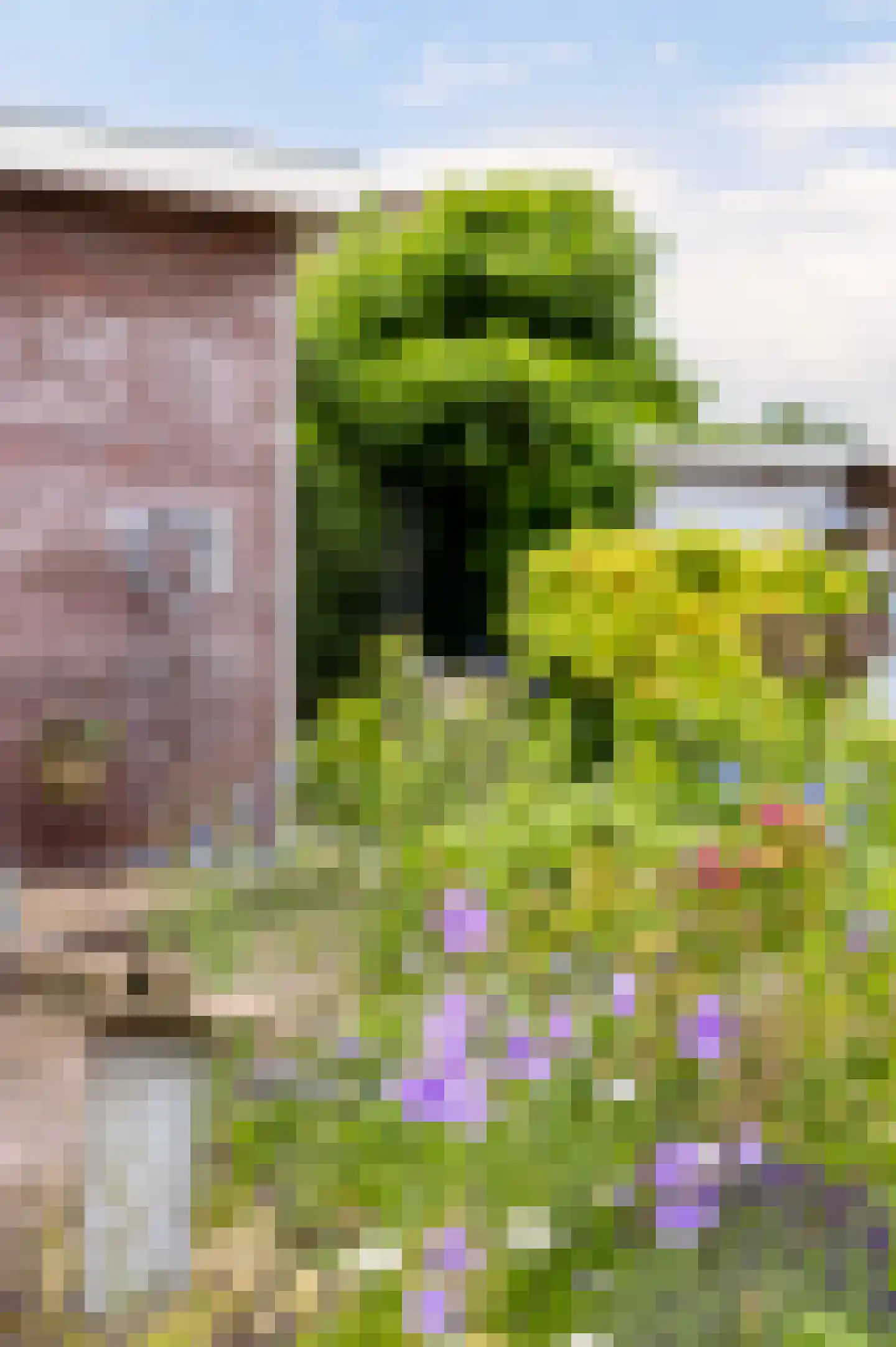 Rjochthússtrjitte 37 Rinsumageast thumbnail 36
