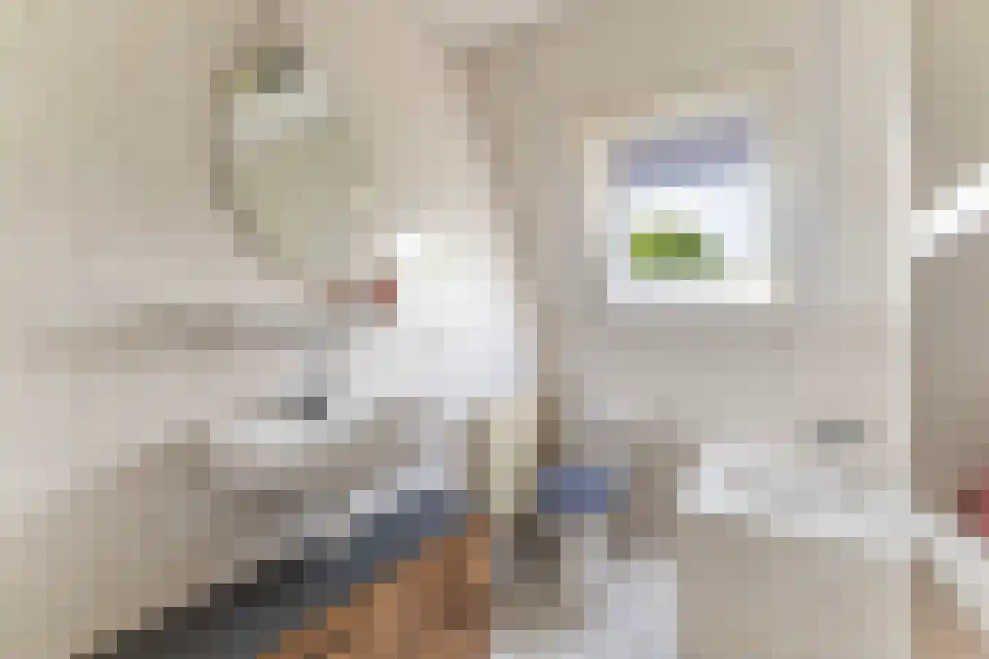 Rjochthússtrjitte 37 Rinsumageast thumbnail 37