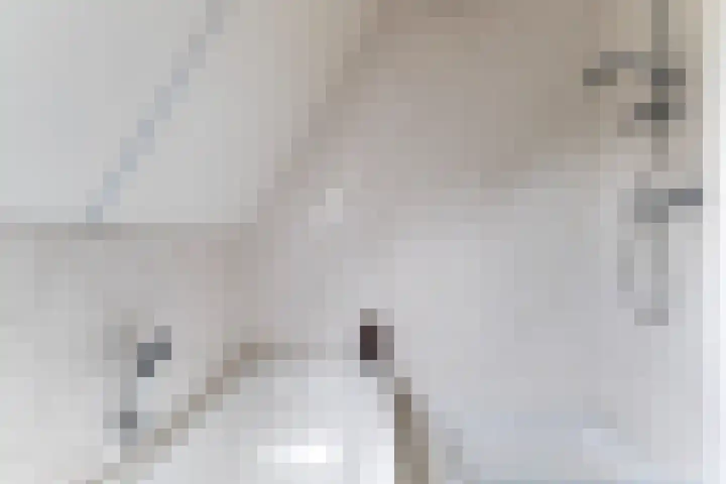 Rjochthússtrjitte 37 Rinsumageast thumbnail 39