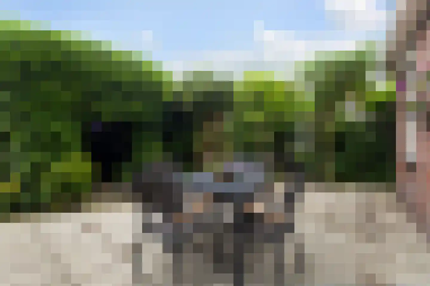 Rjochthússtrjitte 37 Rinsumageast thumbnail 40
