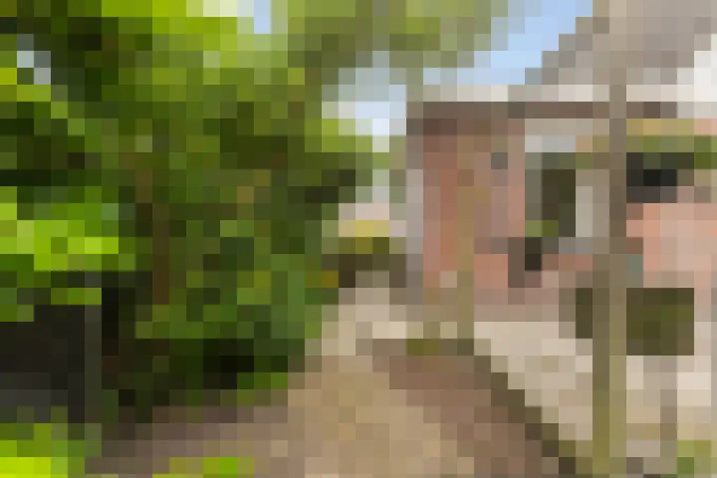 Rjochthússtrjitte 37 Rinsumageast thumbnail 42