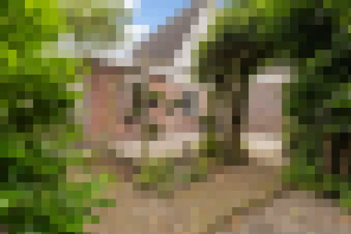 Rjochthússtrjitte 37 Rinsumageast thumbnail 43