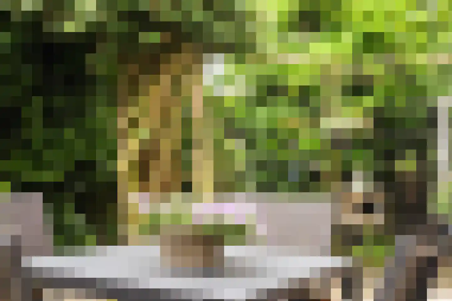Rjochthússtrjitte 37 Rinsumageast thumbnail 44