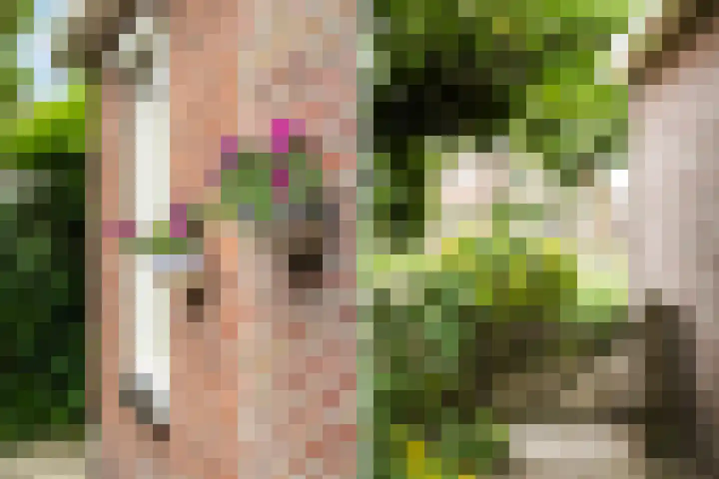Rjochthússtrjitte 37 Rinsumageast thumbnail 45
