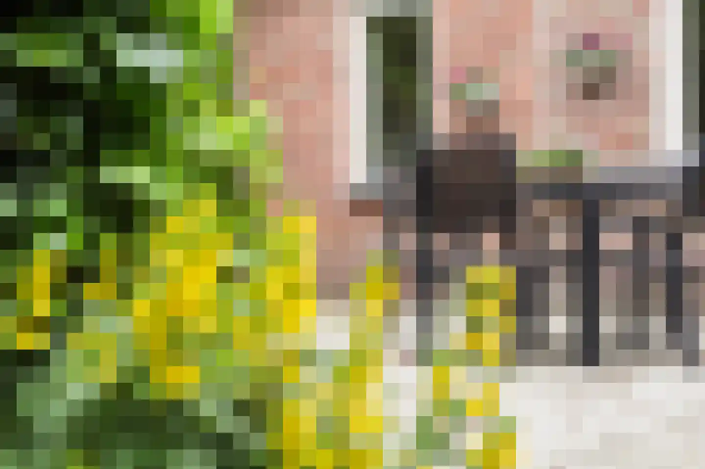 Rjochthússtrjitte 37 Rinsumageast thumbnail 46